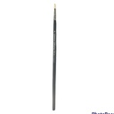 4-Dynasty Beau Blanc BRUSHES SC70 ROUND