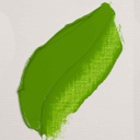 الوان زيتية من رامبرانت 40مل للمحترف   تم تصنيعه بعناية في هولندا Permanent Green Light