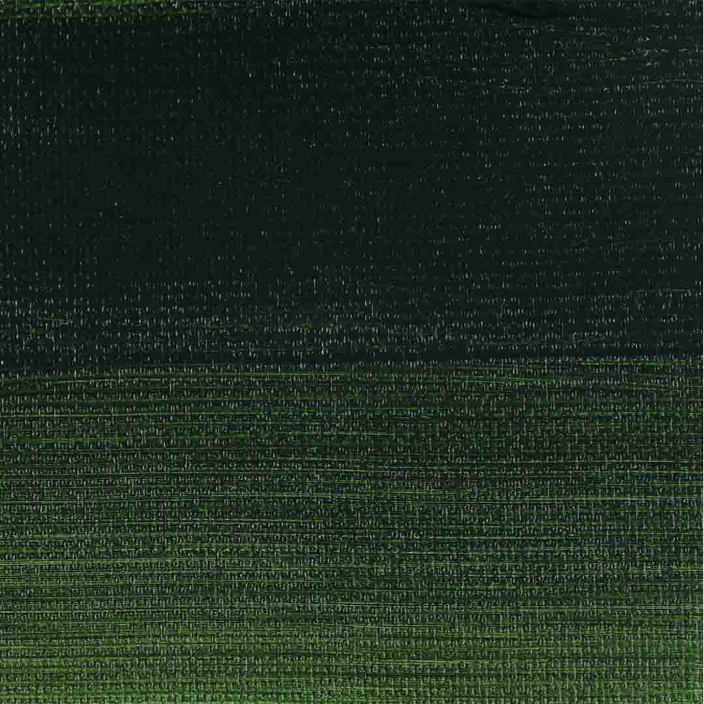 الوان اكريلك من رامبرانت 40 مل   يلبي المتطلبات العالية للرسام المعاصر Sap Green