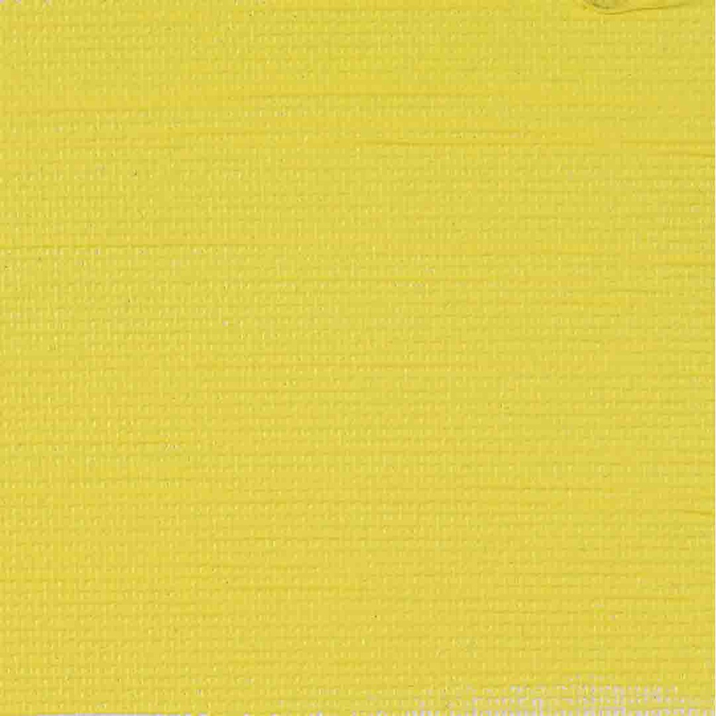 الوان اكريلك من رامبرانت 40مل عالي الجودة يلبي المتطلبات العالية للرسام المعاصر Cadmium yellow lemon 207
