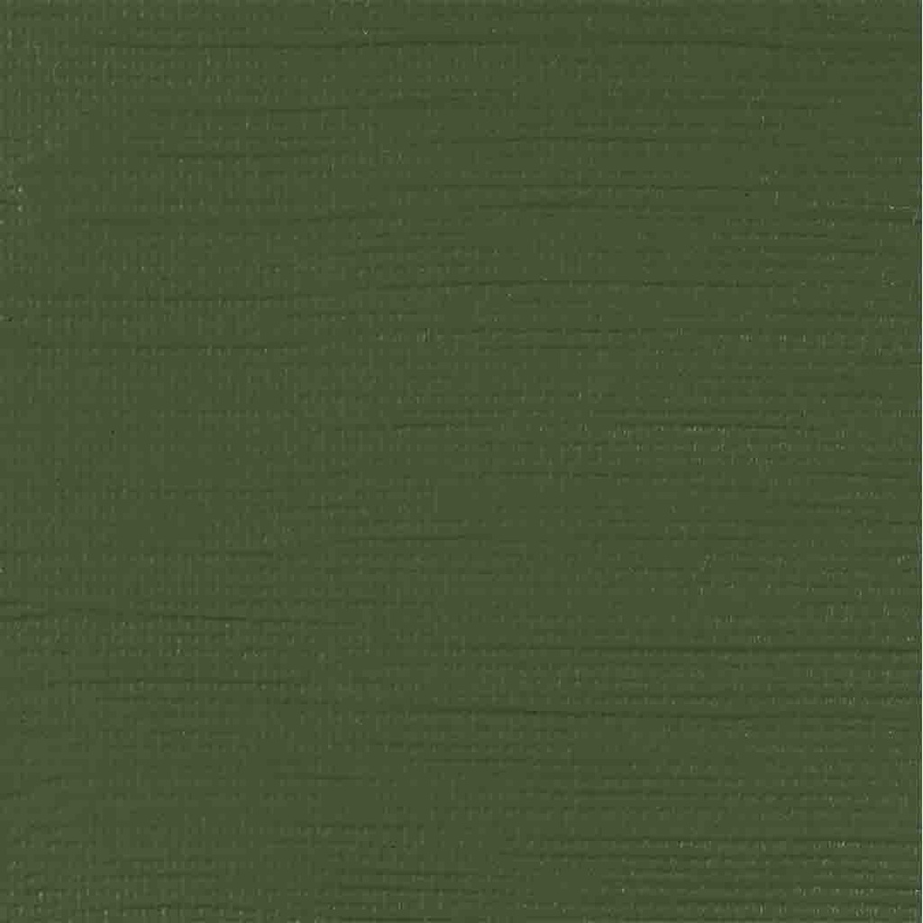 الوان اكريلك من رامبرانت 40مل عالي الجودة يلبي المتطلبات العالية للرسام المعاصر Chromium oxide green 668
