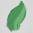 الوان زيتية من رامبرانت 40مل للمحترف   تم تصنيعه بعناية في هولندا Emerald Green
