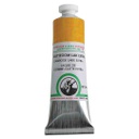 Old Holland - Oil Colour Tube 40ml Gamboge Lake Extra