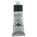 Old Holland - Oil Colour Tube 40ml Hooker's Green Lake Deep Extra