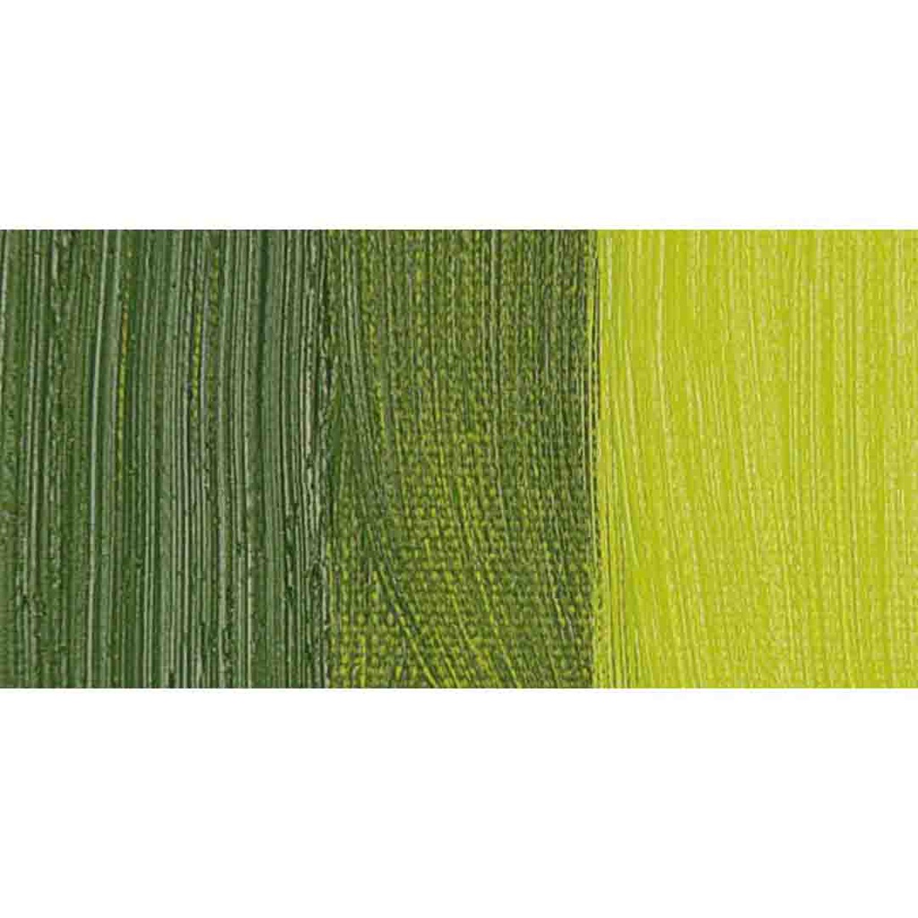 Old Holland - Oil Colour Tube 40ml Old Holland Golden Green Deep