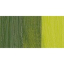 Old Holland - Oil Colour Tube 40ml Old Holland Golden Green Deep