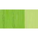 Old Holland - Oil Colour Tube 40ml Old Holland Yellow-Green