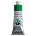 Old Holland - Oil Colour Tube 40ml Scheveningen Green