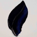 Rembrandt oil colour 40ML INDANTHRENE BLUE