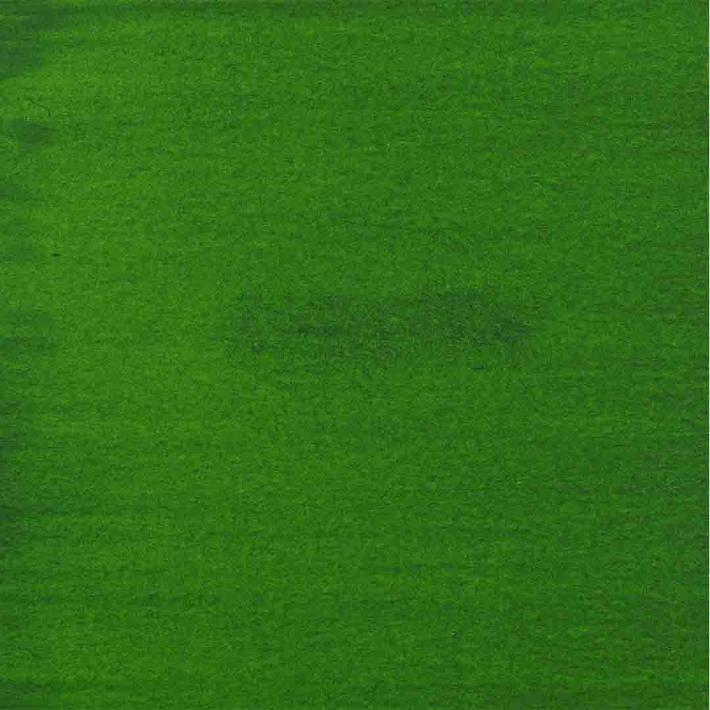 AAC INK 30ML PERM.GREEN LT