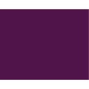 LB FINE OIL COLOUR 150ML TBE RED VIOLET