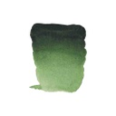 Rembrandt Water colour Pan Hooker Green Light