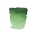 Rembrandt Water colour Pan Permanent Green