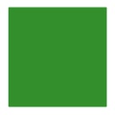 Talens Art Creation Lino Colour 250 ml Green