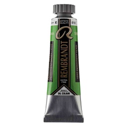 Rembrandt  Oil color 40ml Permanent Green Light