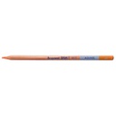 DESIGN Water Colour.Pencil .ORANGE