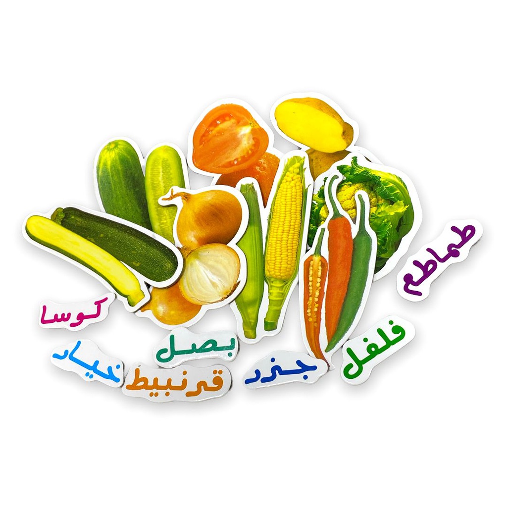 وسيلة مغناطيسية الخضروات