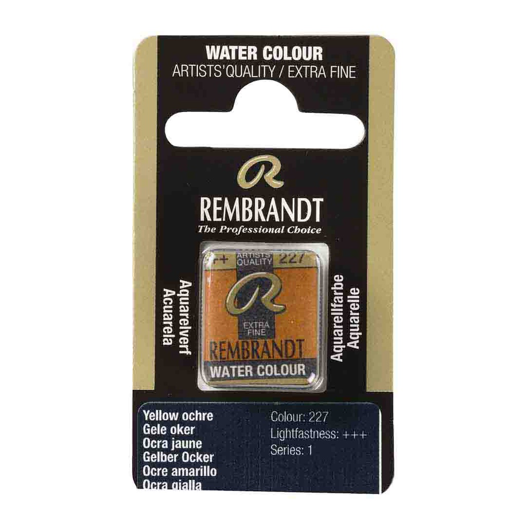 Rembrandt water color   pan  YELLOW OCHRE