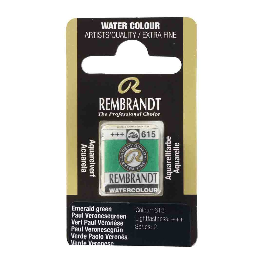 Rembrandt water color   pan  EMERALD GREEN