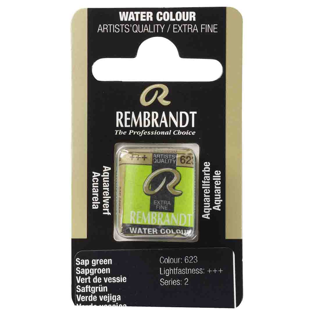 Rembrandt water color   pan  SAP GREEN