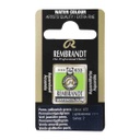 Rembrandt water color   pan  PERM.YELLOWISH GRN