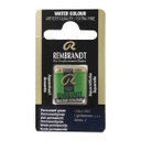 Rembrandt water color   pan  PERMANTE GREEN