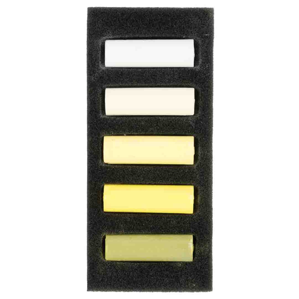 Rembrandt soft pastels  set COOL YELLOWS 5.5