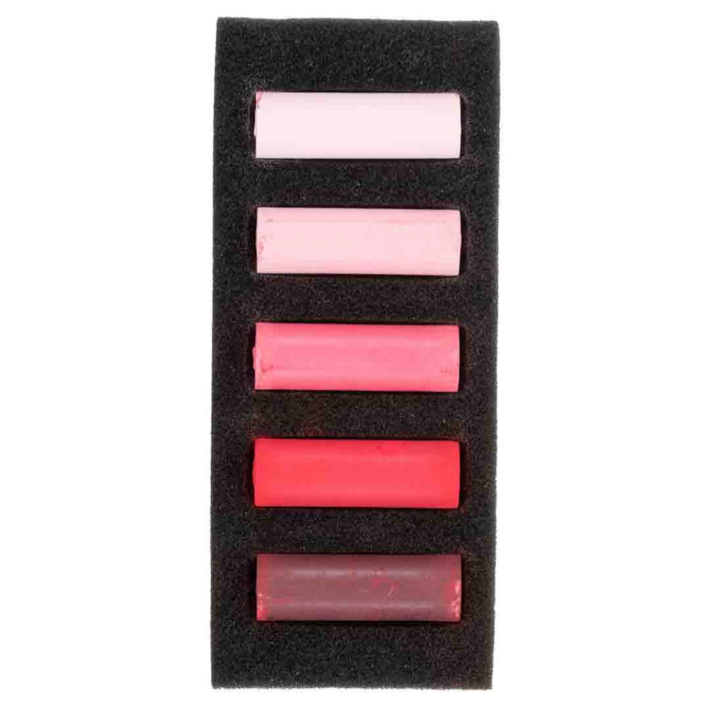 Rembrandt soft pastels  set COOL REDS 5.5