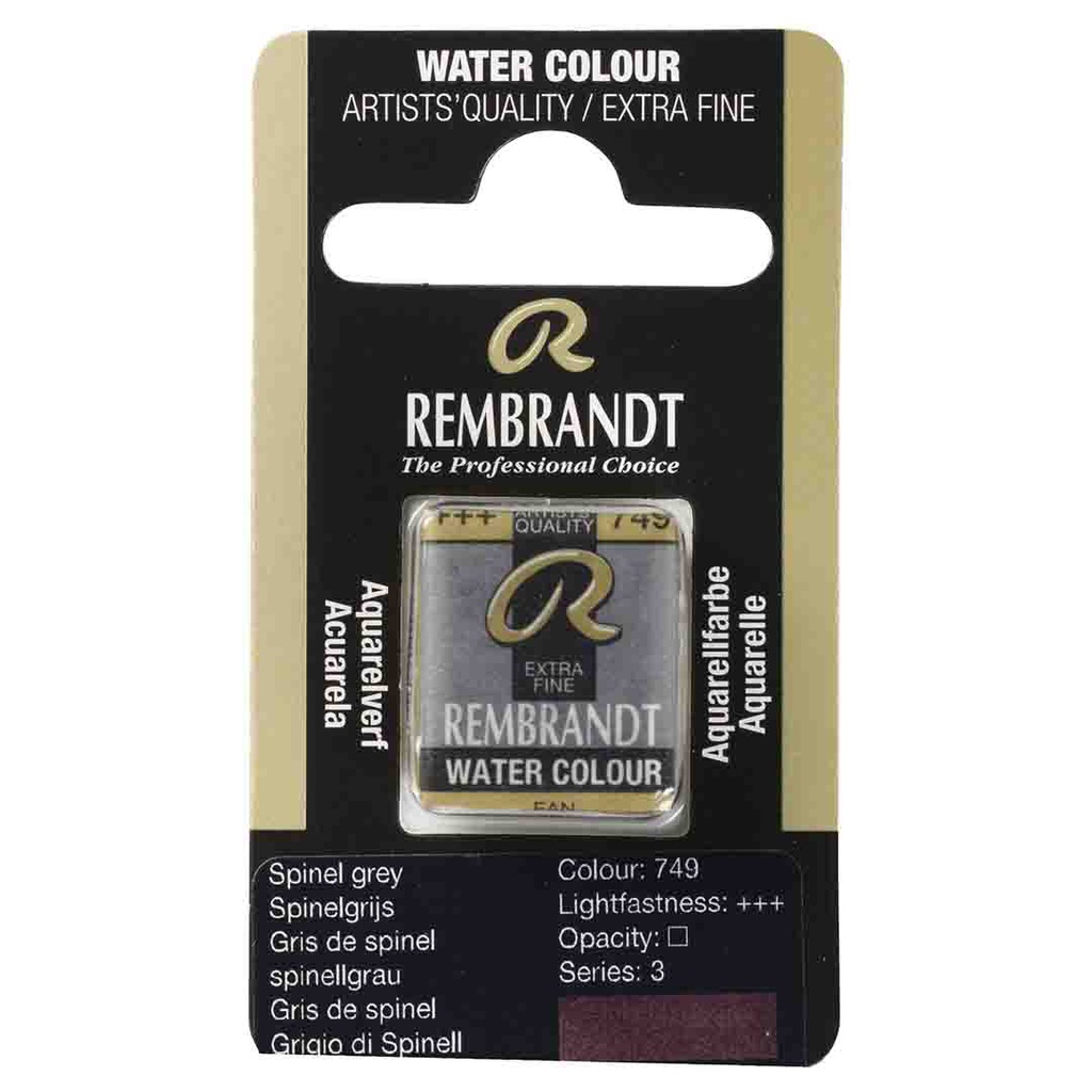 Rembrandt water color   pan  SPINEL GREY