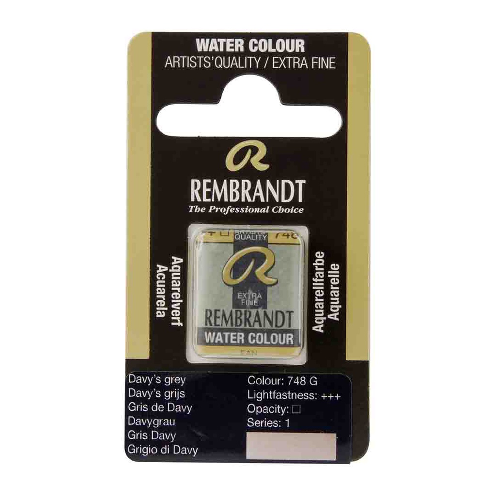 Rembrandt water color   pan  DAVY'S GREY