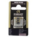Rembrandt water color   pan  SILVER
