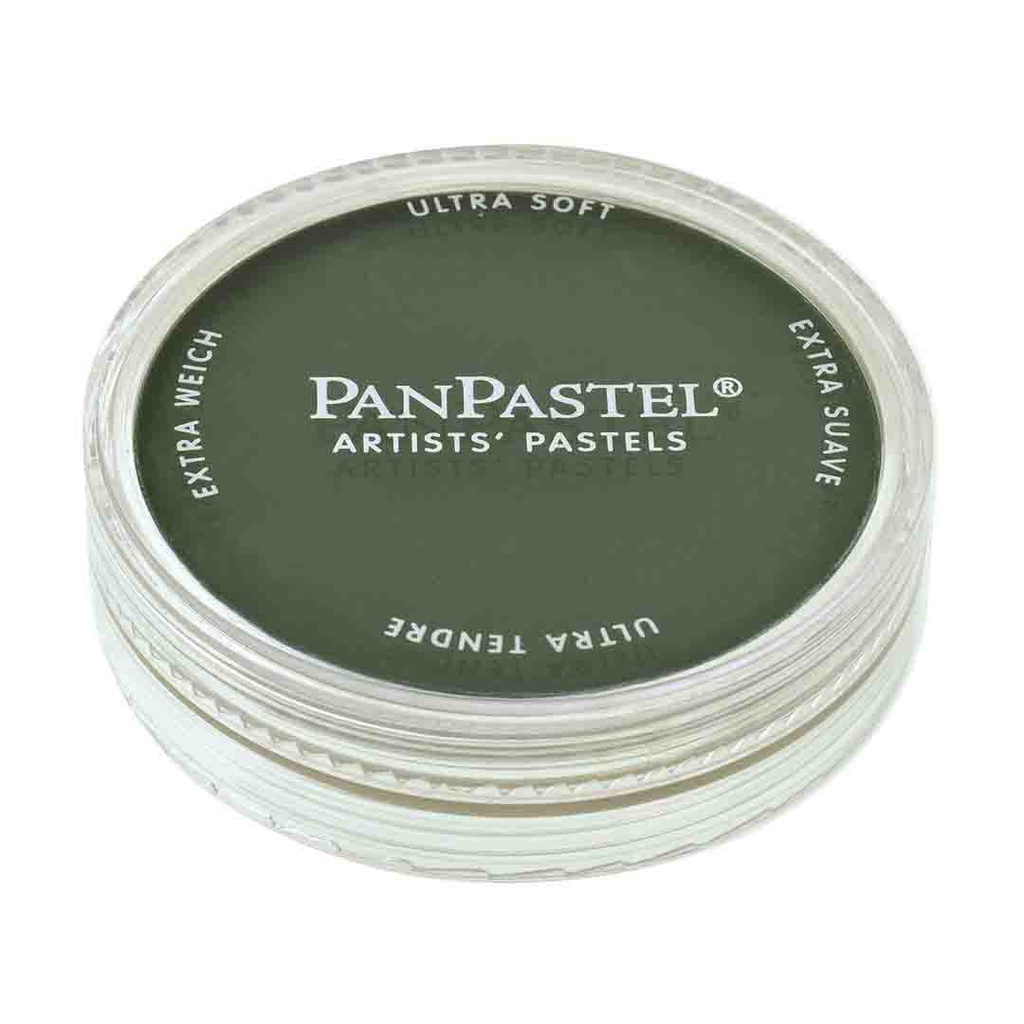 الوان بان باستيل مفرد امريكي PAN PASTEL