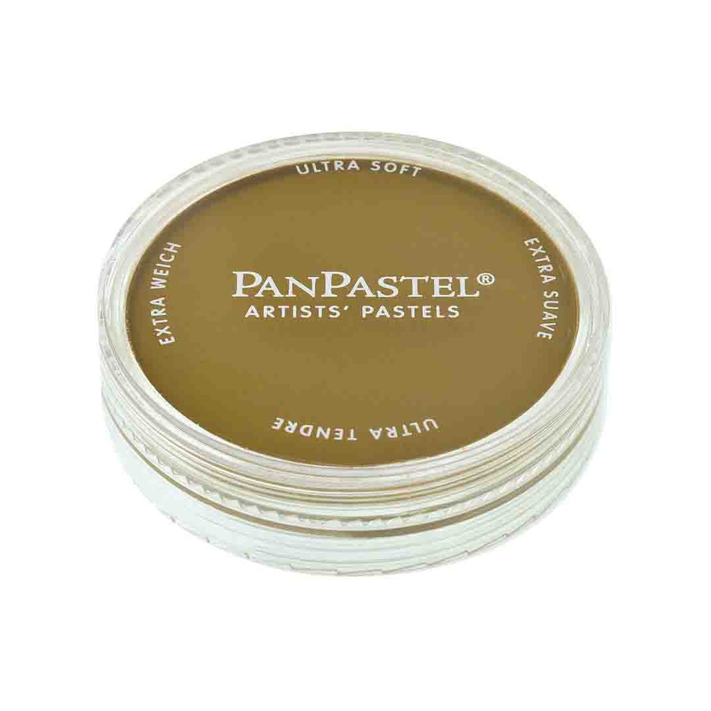 الوان بان باستيل مفرد امريكي PAN PASTEL