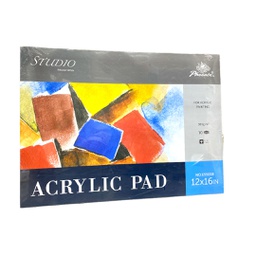 [E5505B] Phoenix Acrylic pad  300GSM 10sheet