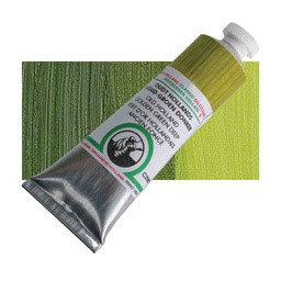 [09.298] Old Holland - Oil Colour Tube 40ml Old Holland Golden Green Deep