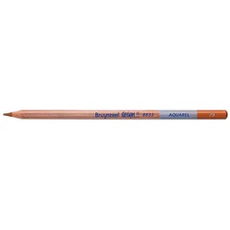 [883579K] DESIGN Water Colour.Pencil .BURNT OCHRE