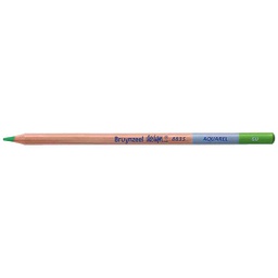 [883560K] DESIGN Water Colour.Pencil .LT GREEN