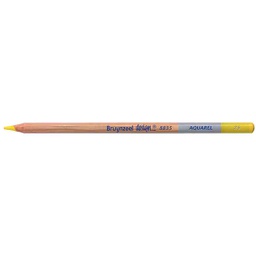 [883525K] DESIGN Water Colour.Pencil .LEMON YLW