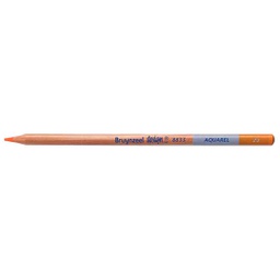 [883523K] DESIGN Water Colour.Pencil .ORANGE
