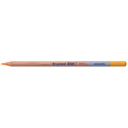 [883522K] DESIGN Water Colour.Pencil .DARK YELLOW