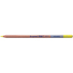 [883521K] DESIGN Water Colour.Pencil .LT LEMON YLW