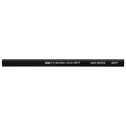 [8617K01] DESIGN SPECIALTY AQ.SK. S FLAT