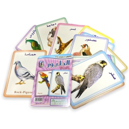 [9054] وسائل تعليمية الطيور
