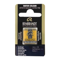 [05862381] Rembrandt water color   pan  GAMBOGE