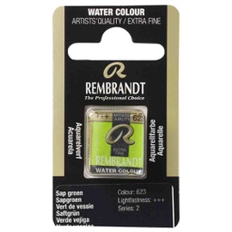 [05866231] Rembrandt water color   pan  SAP GREEN